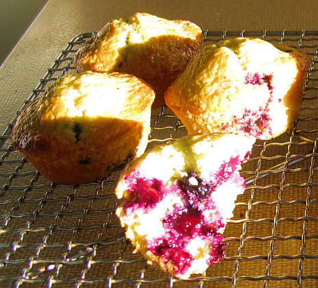 Blueberry muffins made with frozen blueberries