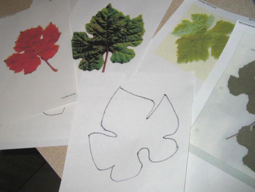 Grape leaves - inspiration