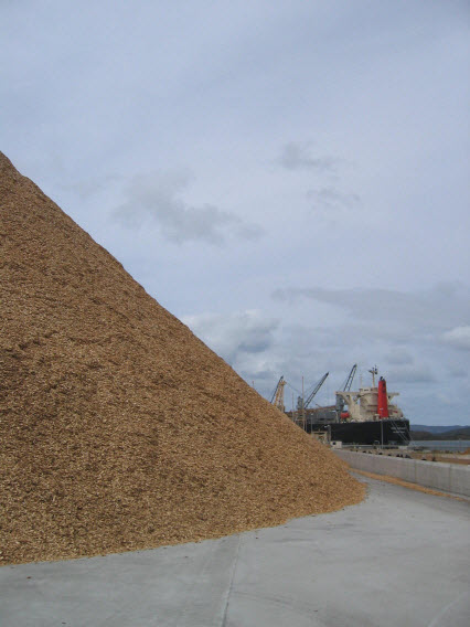 Prt of the 100,000 tonne wood chip stockpile