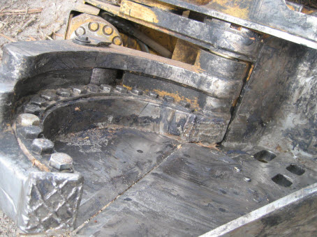 Jaws of death - close-up