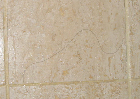 Hair on shower wall