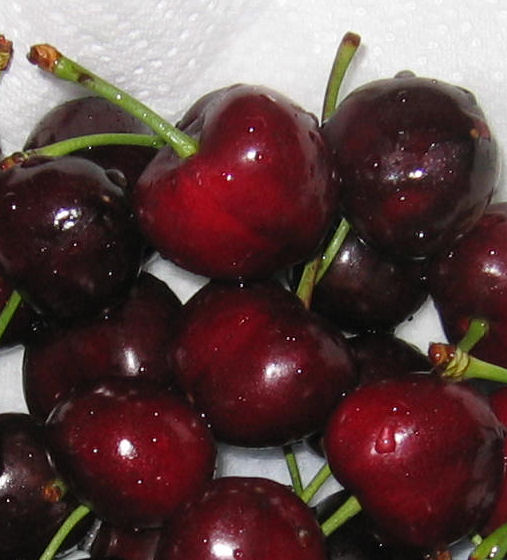 Fresh cherries from Donnybrook, Western Australia