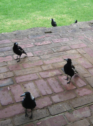 Hell, let's bring the whole family!