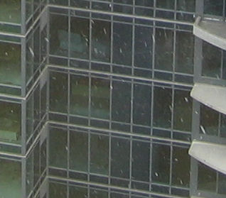 Snow falling in Seattle in April