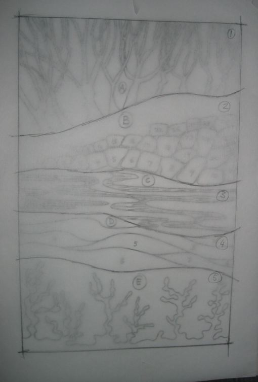 02_pattern_w_tearaway