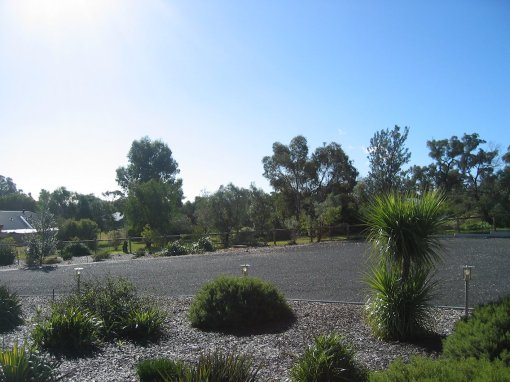 Just a gaping hole where the tree used to be