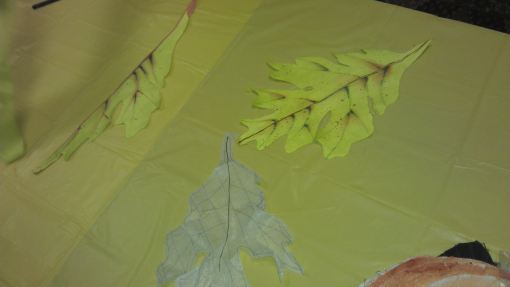 Leaves