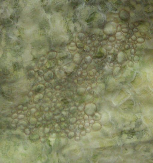 qa_2013_day1_velda_newman34