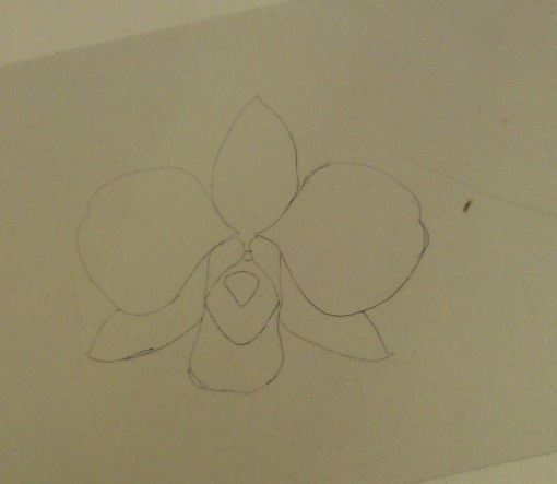 Outline drawn on plastic, ready for overhead projector