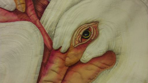 qa_2013_day2_velda_pelican01