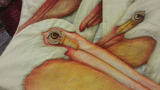 qa_2013_day2_velda_pelican02