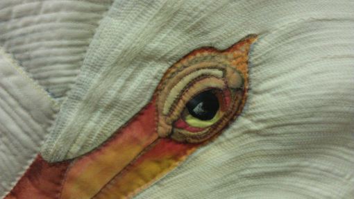 qa_2013_day2_velda_pelican03