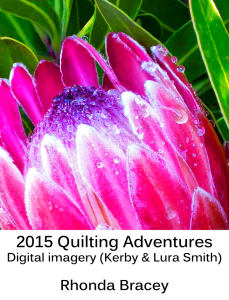 king_protea-M-8x10-5