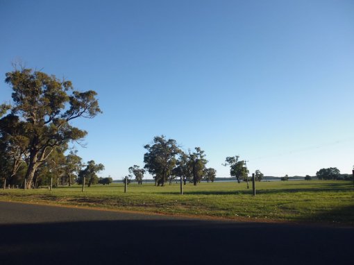 Near top end of Leschenault Estuary, Western Australia, around 4pm