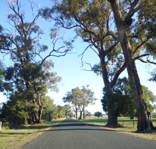 Cathedral Ave, near top end of Leschenault Estuary, Western Australia, around 4pm