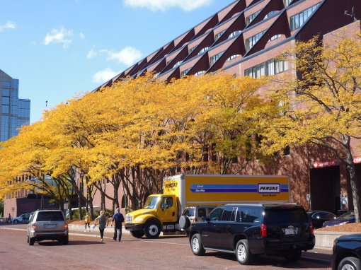 The truck matches the trees and the sky