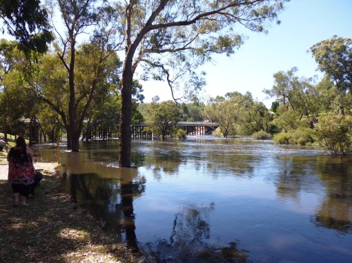 Blackwood River at the bridge, Bridgetown (19 Feb 2017)