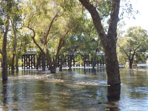 Blackwood River at the bridge, Bridgetown (19 Feb 2017)