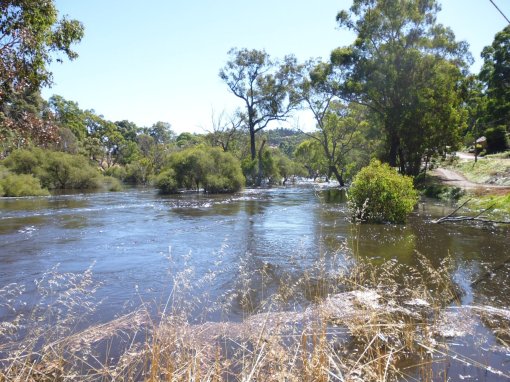 Blackwood River at the bottom of Greys Hill Rd, Bridgetown (19 Feb 2017)