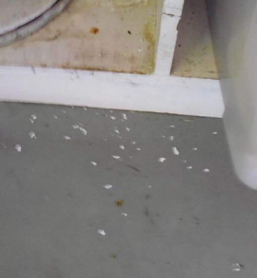 Hard white plastic bits on the floor below the shelves