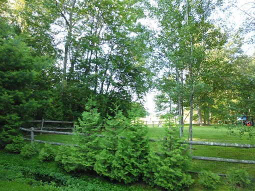 green, green, green everywhere