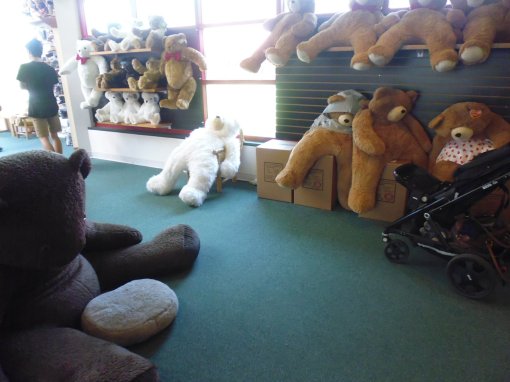 Bears of all sizes - the large ones look like they've had too much Christmas food and drink!