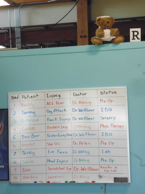 List of patients at the bear hospital