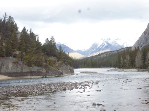 Bow River, Banff -- below the falls