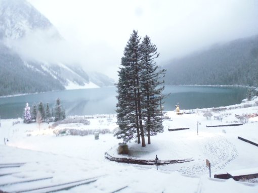 View from my room first thing this morning, after overnight snow. Lake Louise, Alberta, Canada, 4 November 2018