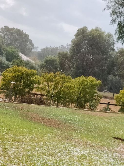 15 minutes after it started, it was all over. All the hail was melting fast and the sun was out. Steam was coming off the metal roof and the land as the sun started to work its magic.