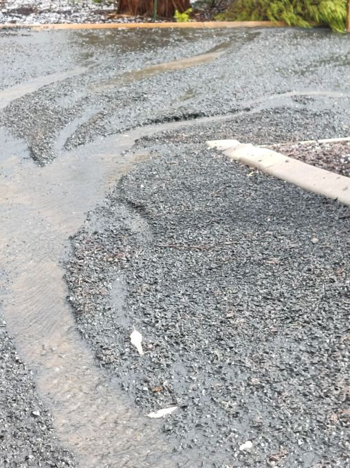 The water sloughing off the land and the gardens had to go somewhere, so down the driveway it went, creating big gouges and carrying the blue metal to the lowest point (the kerb in the picture is about 10-15cm deep) 