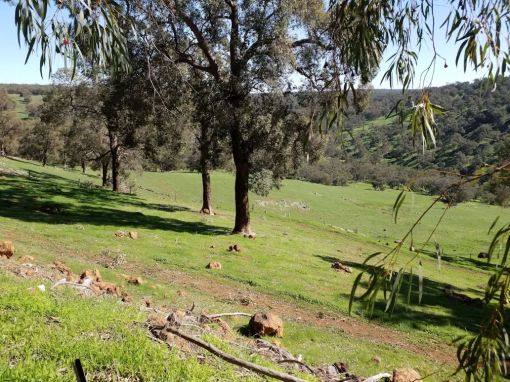 Valley view across to the Avon Valley National Park