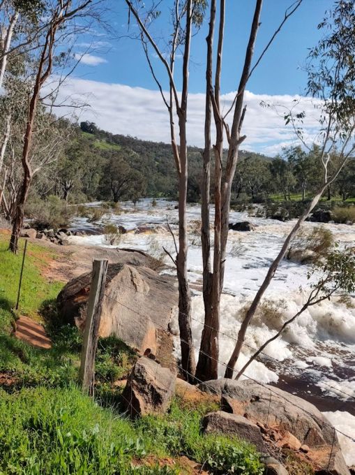 Avon River in full flow across rapids